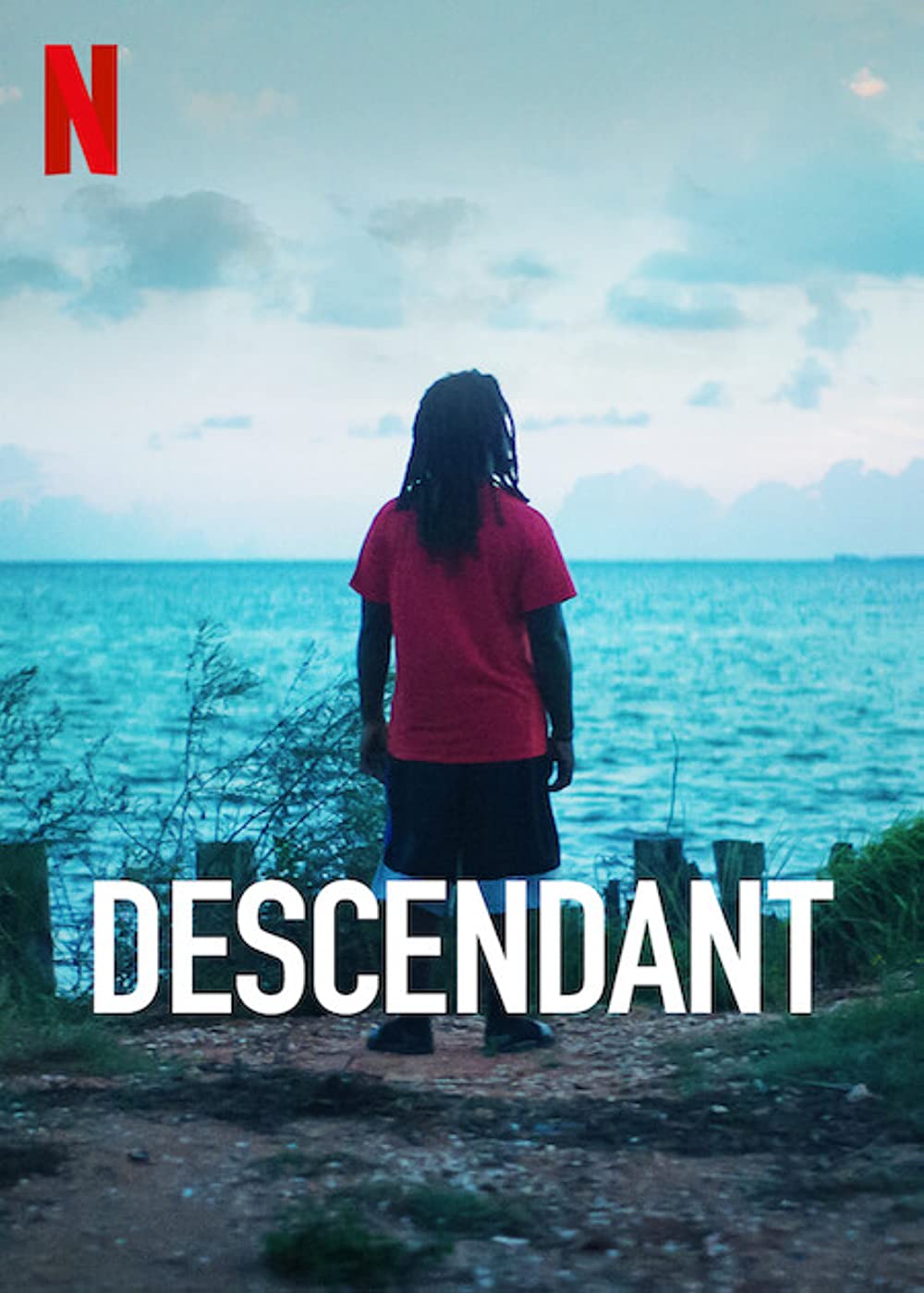 Download Descendant (2022) Netflix Original Dual Audio {Hindi-English} WEB DL 1080p [1.5GB] | 720p [750MB] | 480p [350MB] download
