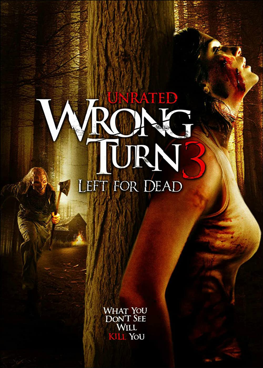 Download Wrong Turn 3: Left for Dead (2009) Full Movie In English 1080p | 720p | 480p [300MB] download