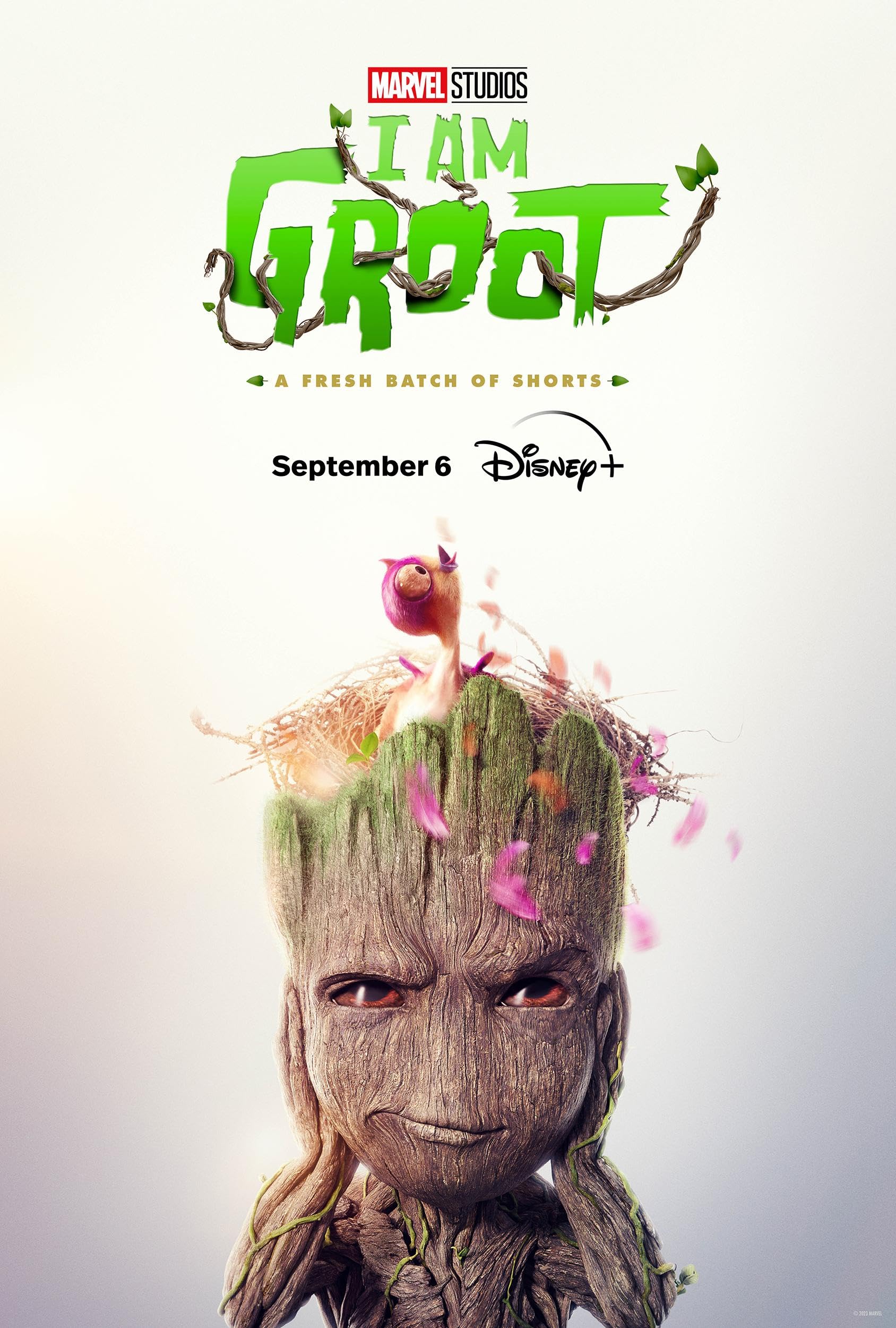 Download Marvel – I Am Groot (Season 2) English DSPN Series 1080p | 720p | 480p WEB-DL download