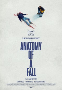 Download Anatomy of a Fall (2023) Dual Audio {Hindi ORG-English} HDRip 1080p | 720p | 480p [700MB] download