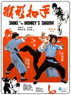 Download Snake in the Monkey’s Shadow (1979) BluRay Dual Audio Hindi 720p | 480p [300MB] download